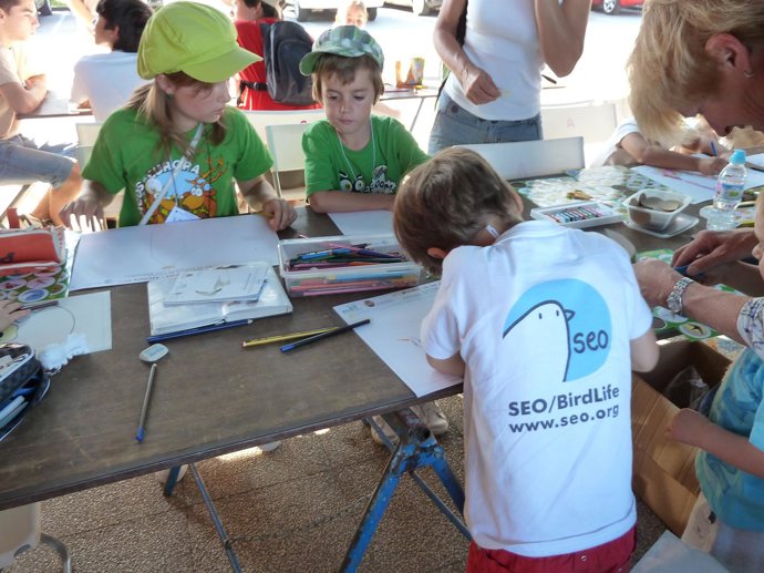 Talleres del Día de las Aves
