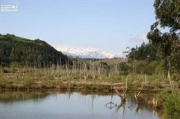 Parque Natural de Oyambre (Cantabria)