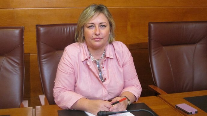 Ana Isabel Méndez, diputada del PSOE y exdirectora general de la Mujer