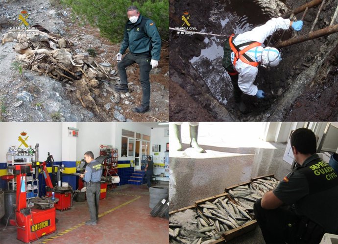 Imágenes de actuaciones del SEPRONA