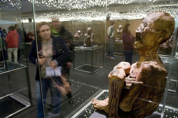 Exposición de Momias en el Parque de las Ciencias