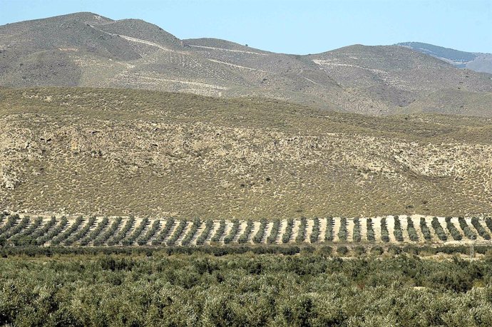 Campo, Cultivos, Montaña