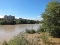 La crecida del Ebro rebasa Novillas, obliga a evacuar a varios vecinos y anega cultivos y explotaciones
