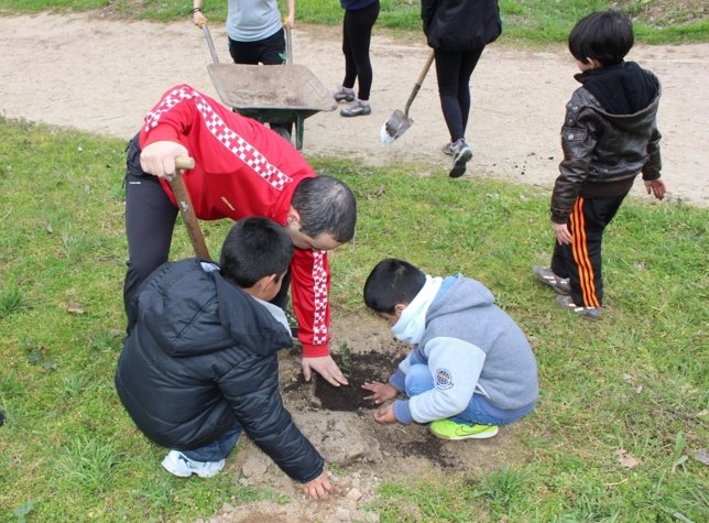 Plantación en la ribera del Pisuerga