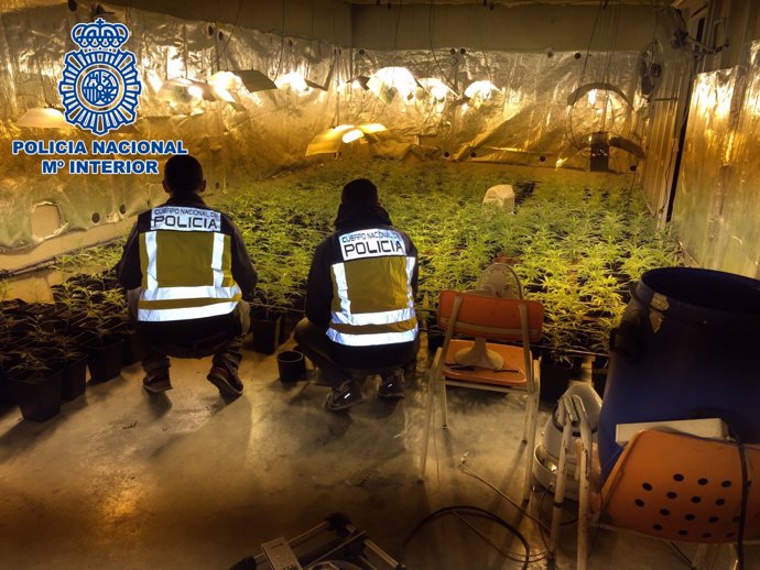 Agentes de la Policía Nacional en el sótano donde se cultivaba la marihuana