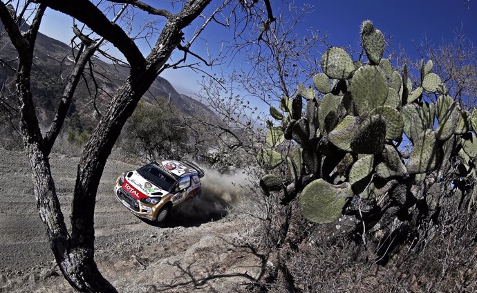 Rally México 