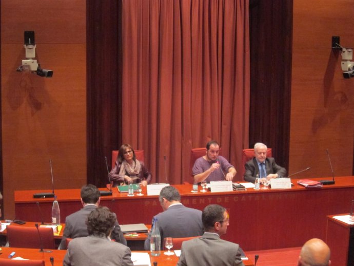 Marta Pujol y David Fernández (CUP) en la comisión de fraude del Parlament