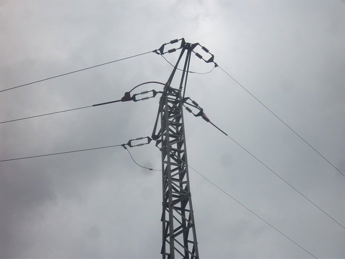 Torre de Endesa con aislante para las aves
