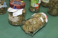 La Policía detiene a un joven por tráfico de drogas e interviene 887 gramos de marihuana