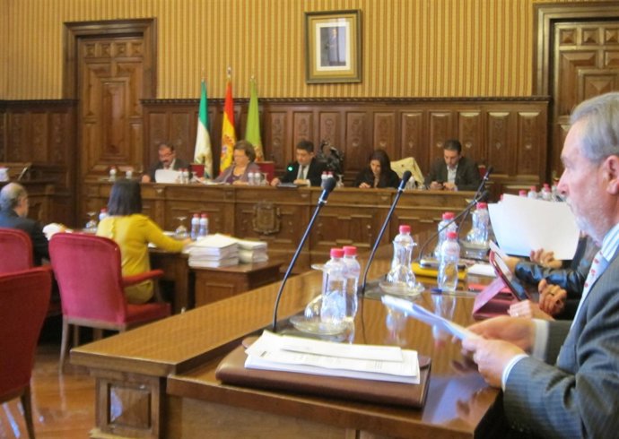 Pleno de la Diputación de Jaén