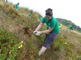 Actividades de voluntariado ambiental