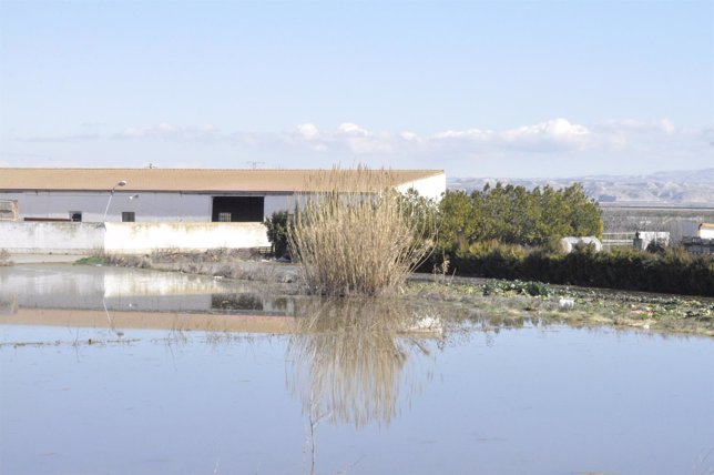Granja afectada por la crecida del Ebro en la Ribera Alta de Zaragoza