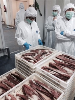 Planta de Ubago en La Línea de la Concepción