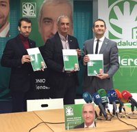 PA defiende que su programa está hecho por y para andaluces en Andalucía y con el empleo en el centro de la diana"