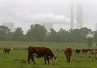 La contaminación aumenta el riesgo de ictus