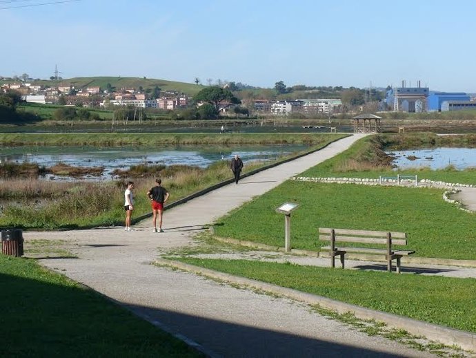 Marismas negras de Astillero