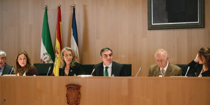 Pleno ordinario febrero Diputación Málaga
