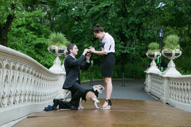 Vlad Leto es el fotógrafo espía de las propuestas de matrimonio en Nueva York