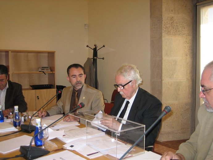 La AVL aprueba crear una Medalla de la institución y concedérsela a Orts