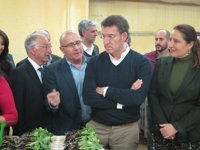 Feijóo espera que "entre un aire nuevo y se produzca el cambio" para que los andaluces "conozcan otras políticas"