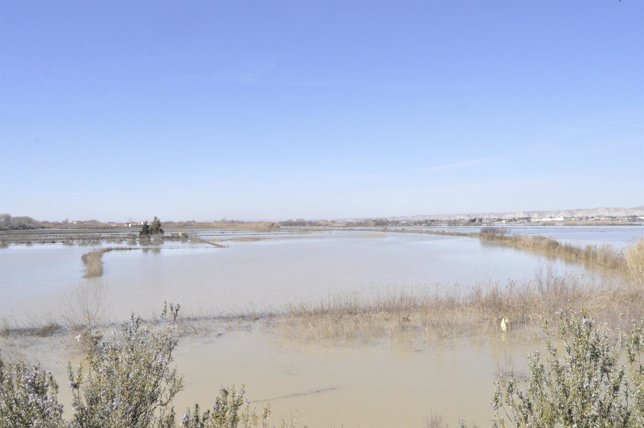 Zona afectada por la crecida extraordinaria del Ebro, en Zaragoza