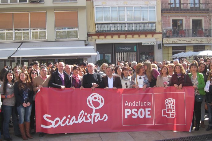 Psoe mujer manifestación alonso
