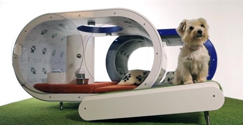 Caseta perro de lujo