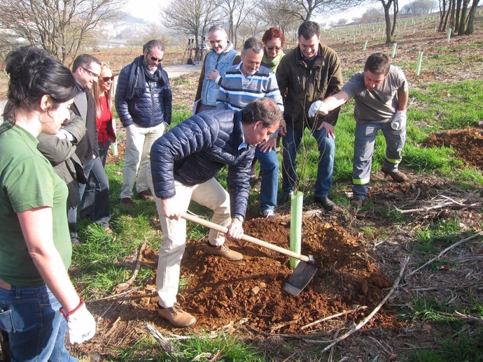 Feijóo planta un árbol en el Bosque de Galicia