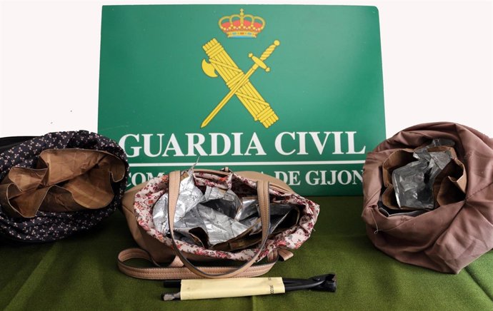 Actuación de la Guardia Civil por hurtos en Parque Principado