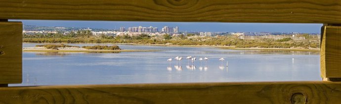 Rutas gratuitas para conocer el Parque Regional Salinas y Arenales de San Pedro
