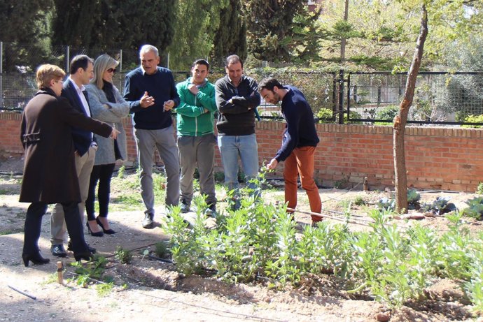 Alba visita andalucia profundiza proyectos centros en horario extraescolar