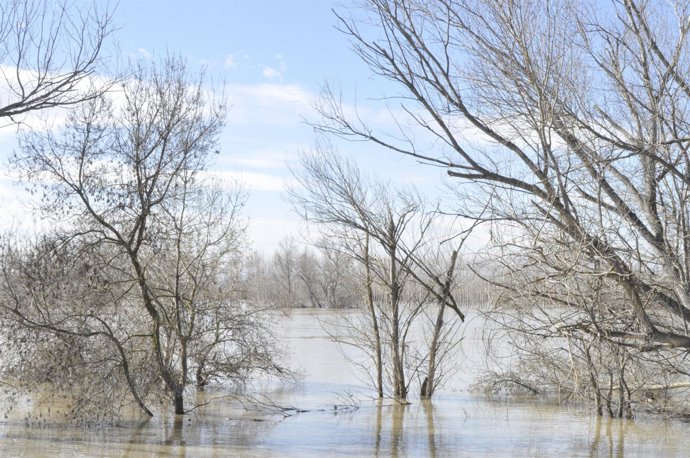 El Ebro se desbordó en Pradilla y otros municipios. 