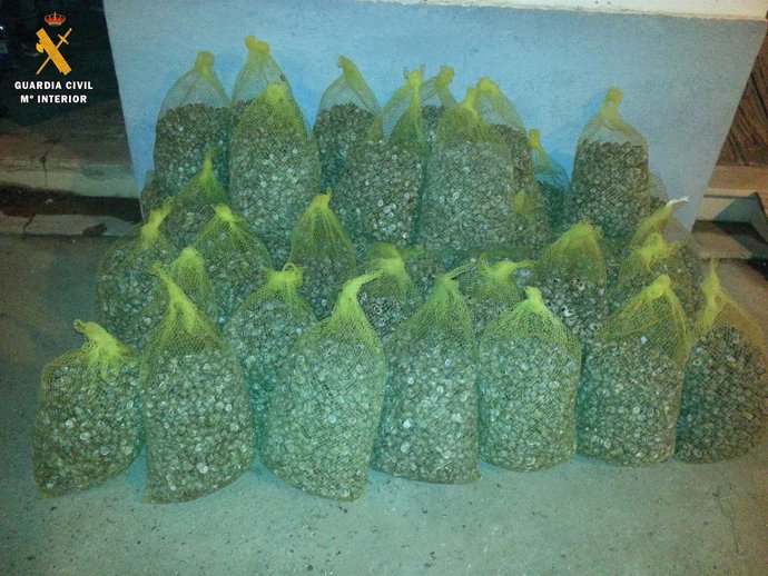 La Guardia Civil interviene 420 kilogramos de caracoles en Sariñena (Huesca)