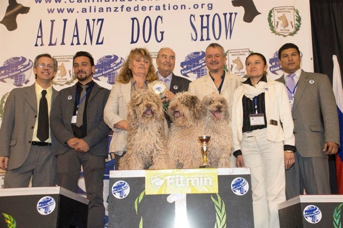 Exhibición Canina en Marina D'Or