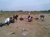 Voluntarios realizarán una limpieza de los espacios naturales del Delta del Ebro