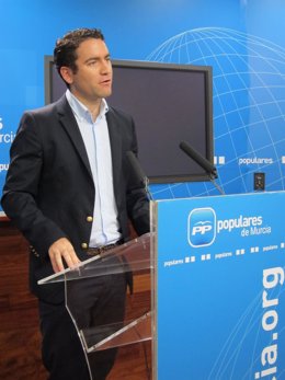 El diputado nacional del PP por Murcia, Teodoro García