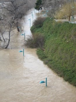 Crecida del Ebro en el Parque Macanaz