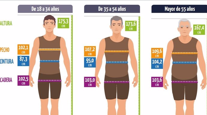 ¿Cuál es la estatura media de hombres y mujeres en España y cómo ha evolucionado? 8 Merca2.es Tendencias futuras: ¿Qué podemos esperar?