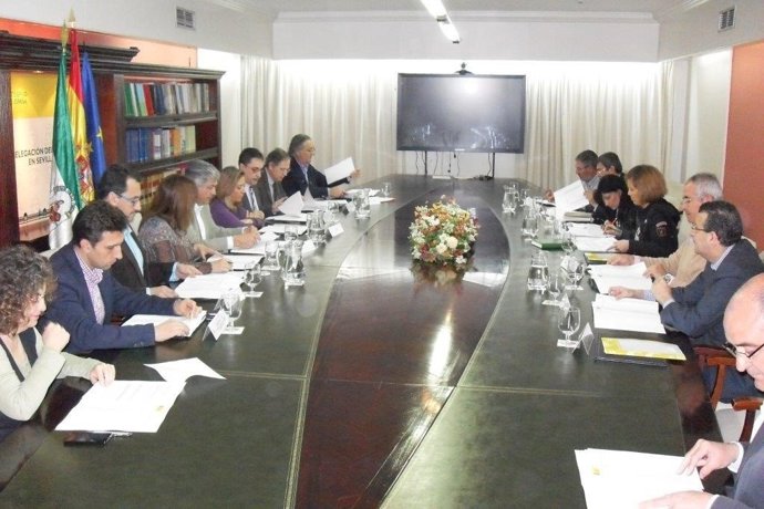 Reunión de la Comisión Provincial de Seguimiento del Profea.