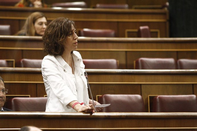 Irene Lozano en el Congreso de los Diputados