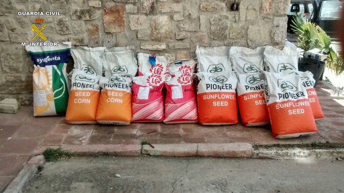 Detenidos por el hurto de semillas 