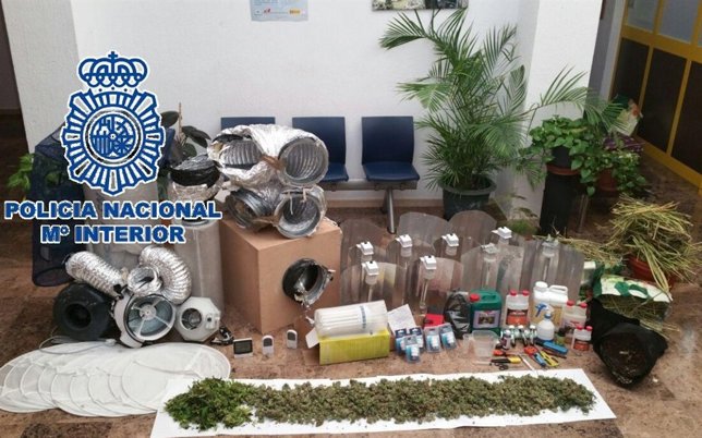 Laboratorio de marihuana desarticulado