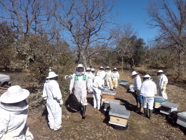 Unos apicultores en la primera cata a las colmenas