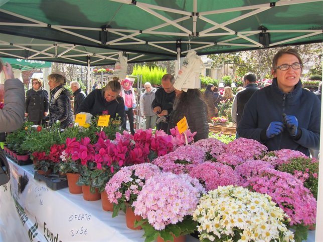 Octava Feria de Semillas y Vivero