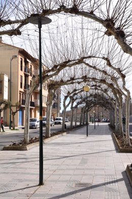 El Ayuntamiento renovara el alumbrado público del paseo Constitución