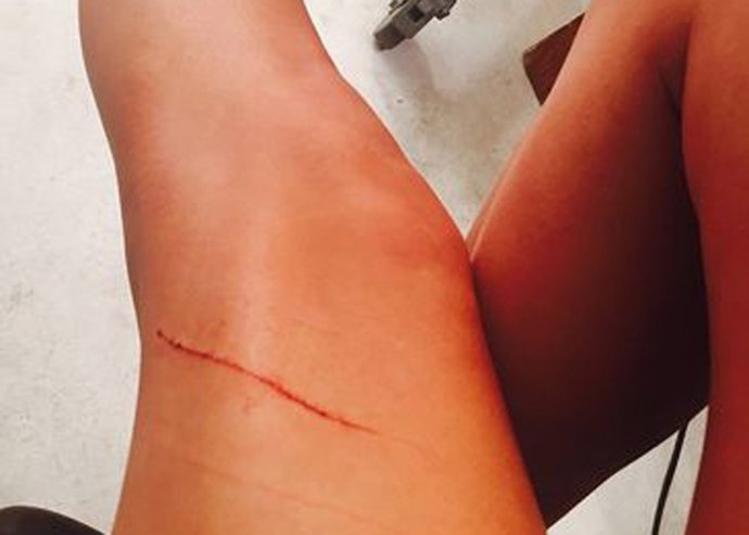 El gato de Taylor Swift le debe a su dueña 40 millones de dolares