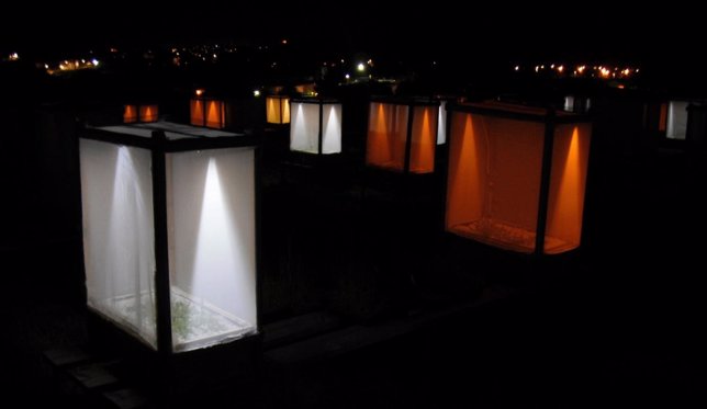 Luminarias para cultivo