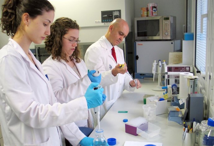 Grupo de investigación de la Universidad Jaén