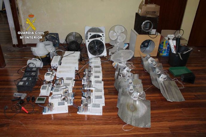 Efectos intervenidos