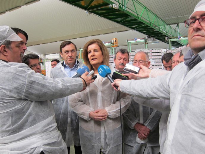 La ministra de Empleo, Fátima Báñez, visita Primaflor